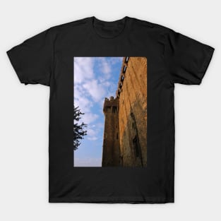 Blarney Castle Wall T-Shirt